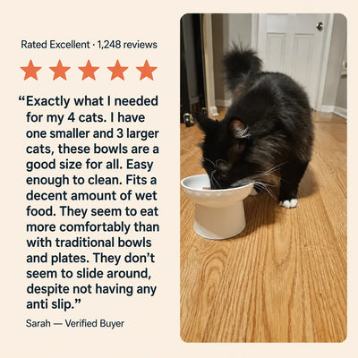HighSociety™ Raised Cat Bowl