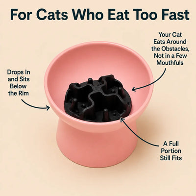 Loafy's Cat Bowl Slow Feeder Insert
