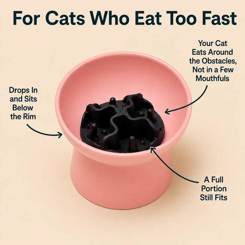 Loafy's Cat Bowl Slow Feeder Insert