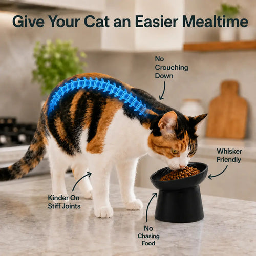 HighSociety™ Raised Cat Bowl