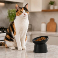 HighSociety™ Raised Cat Bowl