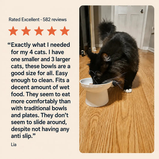 HighSociety™ Raised Cat Bowl